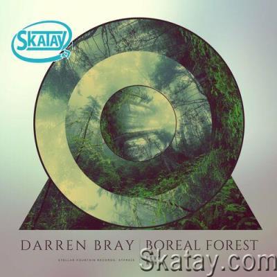 Darren Bray - Boreal Forest (2022)