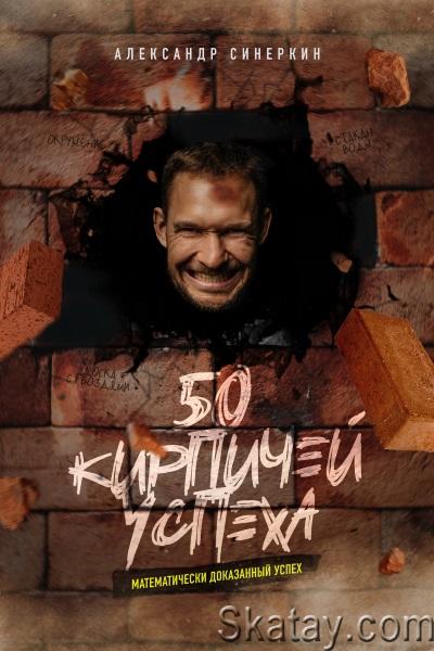 Александр Синеркин - 50 кирпичей успеха