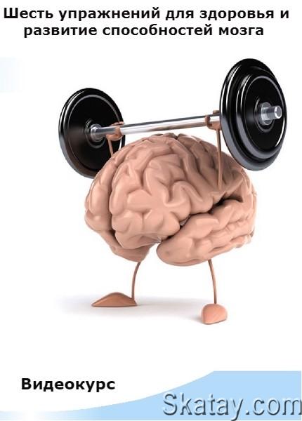Шесть упражнений для здоровья и развитие способностей мозга (2022) /Видеокурс/