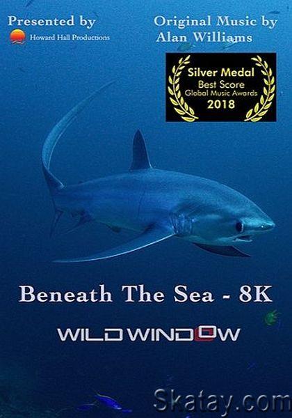 Окно дикой природы - Взгляд в глубину / Wild Window: Beneath the Sea (2018) UHDTV 2160p