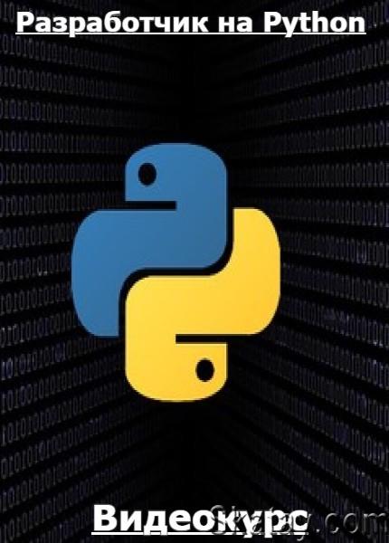 Skypro - Разработчик на Python (2021) /Видеокурс/
