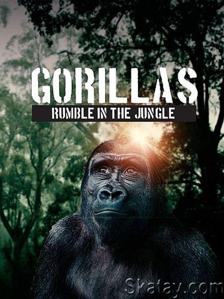 Гориллы: разборки в джунглях / Gorilla. Rumble in the Jungle (2020) HDTVRip 720p