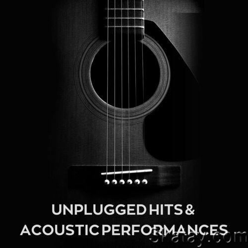 Unplugged Hits and Acoustic Performances (2023)