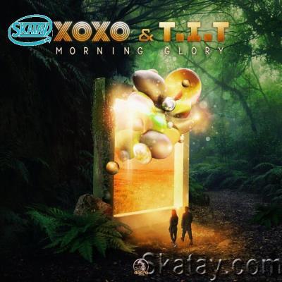 Xoxo & T.I.T - Morning Glory (2022)