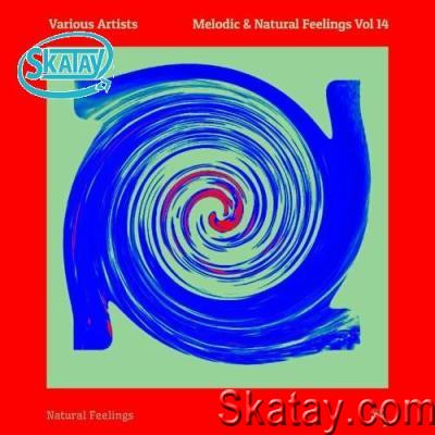 Melodic & Natural Feelings Vol 14 (2022)