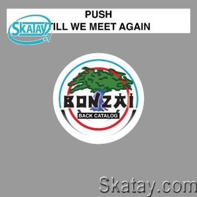 Push - Till We Meet Again (2022)