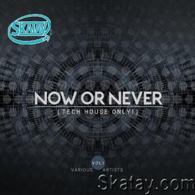 Now Or Never, Vol. 1 (Tech House Only!) (2022)