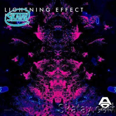 Lightning Effect - Birds (2022)