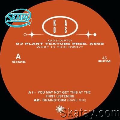 DJ Plant Texture Pres A662 - What Is This Bwoy? (2022)