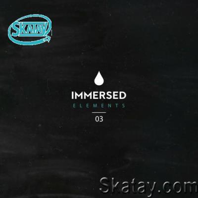 Immersed Elements 03 (2022)