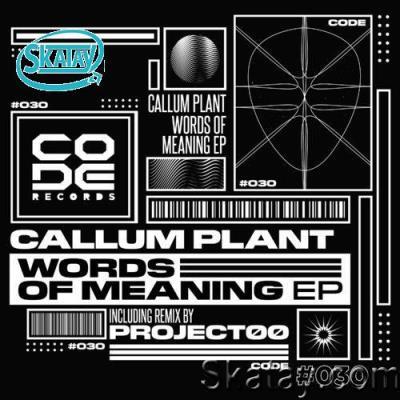 Callum Plant - Words of meaning (2022)