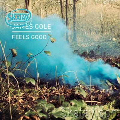 James Cole - Feels Good (2022)