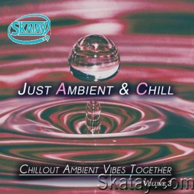 Just Ambient & Chill, Vol. 3 (Chillout Ambient Vibes Together) (2022)