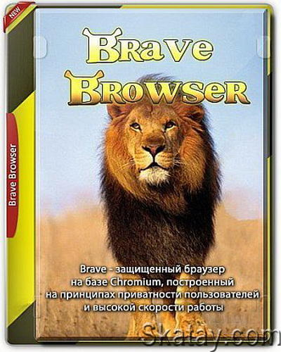 Brave Browser 1.20.110-71 /Portable/