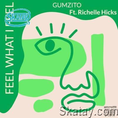 Gumzito ft Richelle Hicks - Feel What I Feel (2022)