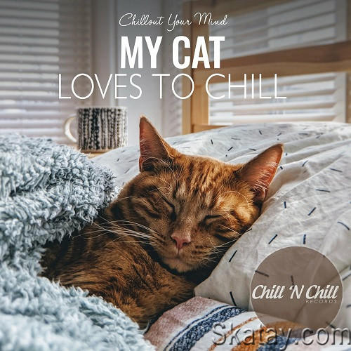 My Cat Loves to Chill: Chillout Your Mind (2022) FLAC