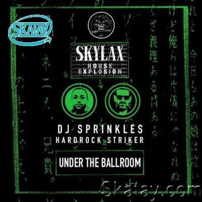DJ Sprinkles, Hardrock Striker, Lauer - Skylax House Explosion (Under The Ballroom) (2022)