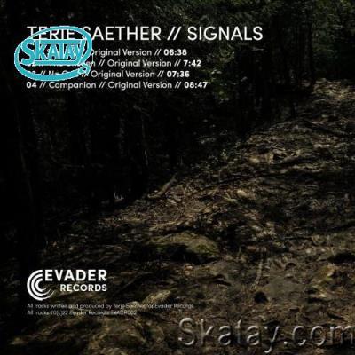 Terje Saether - Signals (2022)