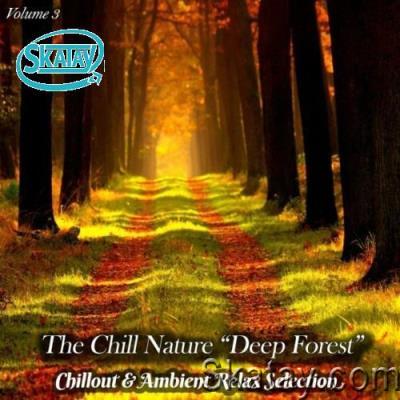 The Chill Nature "Deep Forest", Vol. 3 (Chillout & Ambient Relax Selection) (2022)