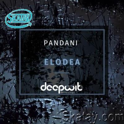 Pandani - Elodea (2022)
