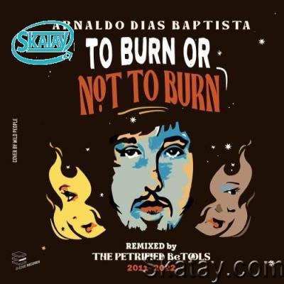 Arnaldo Baptista - To Burn Or Not To Burn (Remixed by Petrified Betools 2011-2022) (2022)