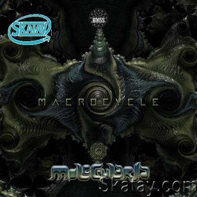 Molecularia - Macrocycle (2022)