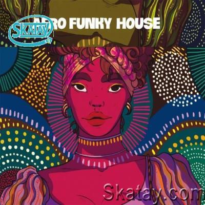 Afro Funky House (2022)