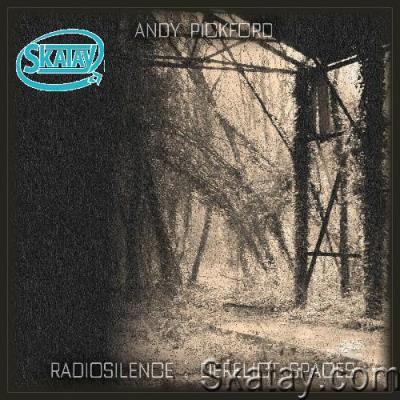 Andy Pickford - Radiosilence Derelict Spaces (Ambient Moog Subharmonicon) (2022)