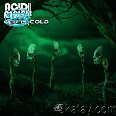 AcidProjekt - Old Is Cold (2022)