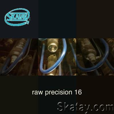Raw Precision 16 (2022)