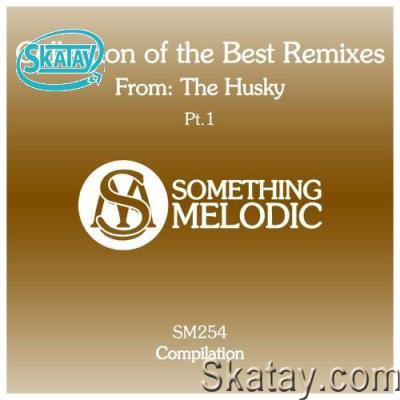 Collection of the Best Remixes From: The Husky, Pt. 1 (2022)