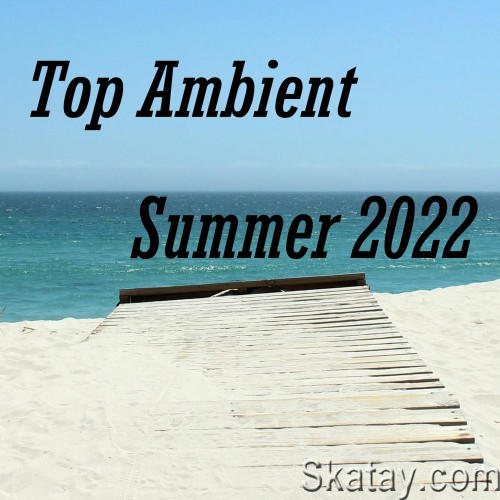 Top Ambient Summer 2022 (2022)