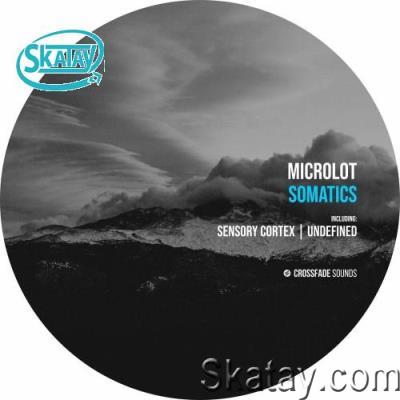 Microlot - Somatics (2022)