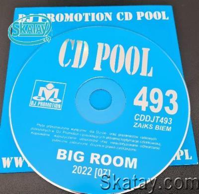 DJ Promotion CD Pool Big Room 493 (2022)