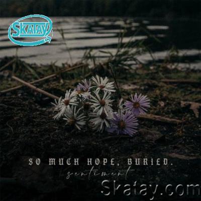 So Much Hope, Buried. - Sentiment (2022)