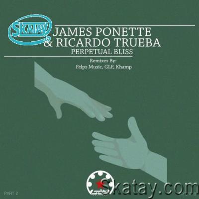 James Ponette & Ricardo Trueba - Perpetual Bliss, Pt. 2 (2022)