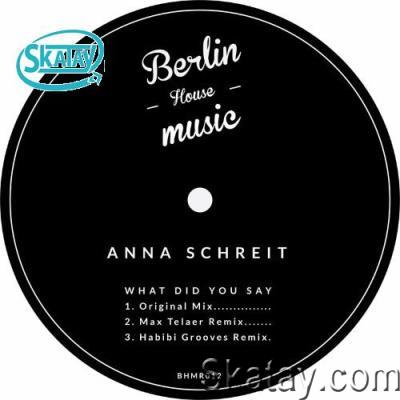 Anna Schreit - What Did You Say (2022)