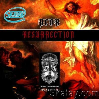 ACOR - Resurrection (2022)