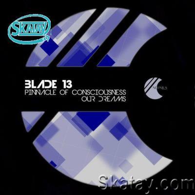 blade13 - Pinnacle of Consciousness (2022)