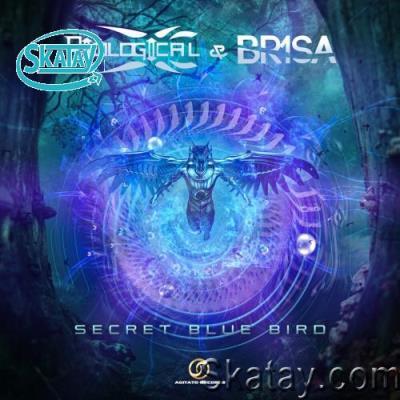 Biological & Br1sa - Secret Blue Bird (2022)