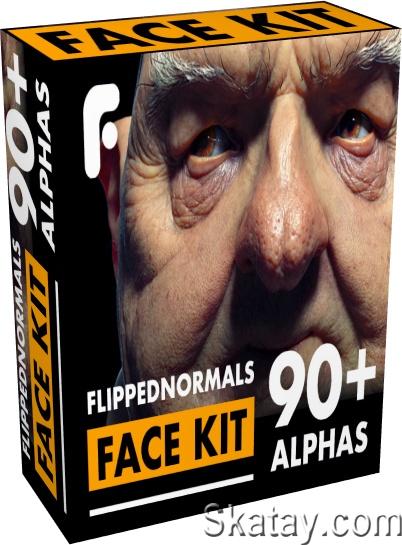 FlippedNormals - Face Kit (EXR, PSD)