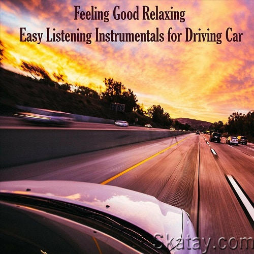 Feeling Good Relaxing Easy Listening Instrumentals for Driving Car (2022)