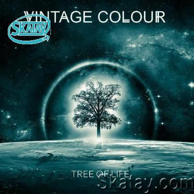 Vintage Colour - Tree of Life (2022)