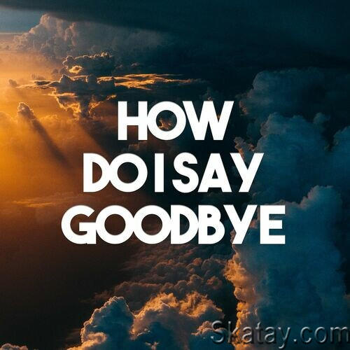 How Do I Say Goodbye (2022)