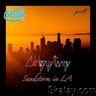 Cableguy Tommy - Sandstorm in La (2022)