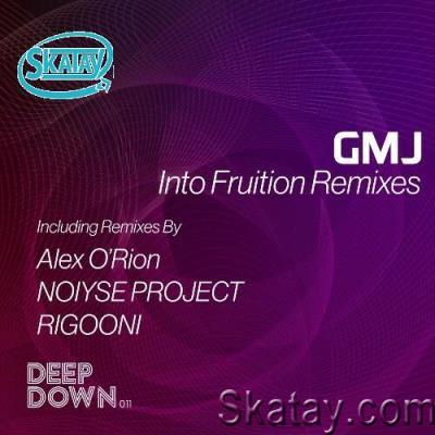 GMJ - Into Fruition Remixes (2022)