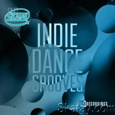 Indie Dance Grooves, Vol. 06 (2022)