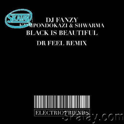 DJ Fanzy feat Mpondokazi x Shwarma - Black Is Beautiful (2022)