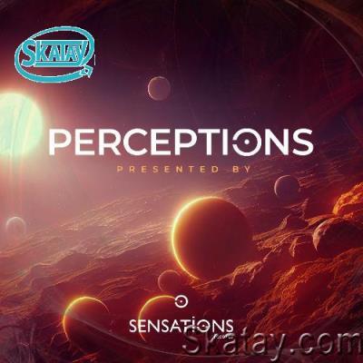 Serenity Flux - Perceptions 002 (2022-12-09)