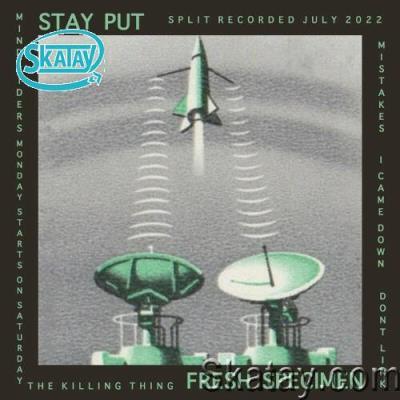 Stay Put / Fresh Specimen - Stay Put / Fresh Specimen (2022)
